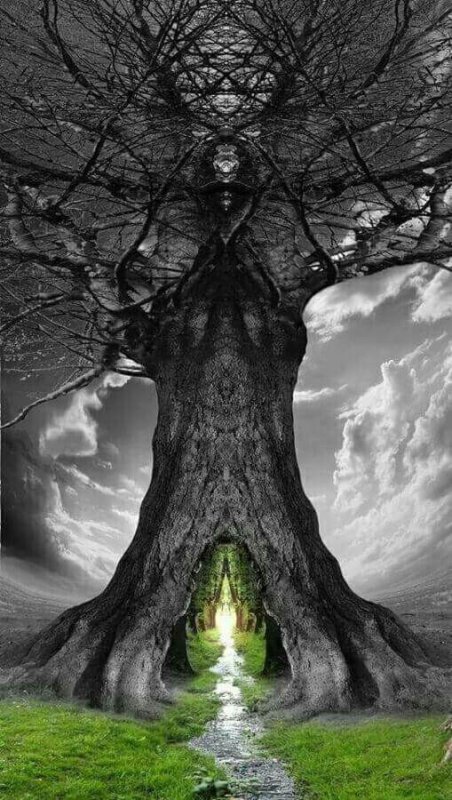 Дерево жизни