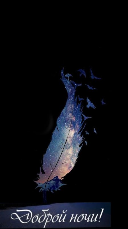 Заставка на телефон перышко