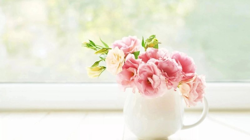 Нежные цветочки