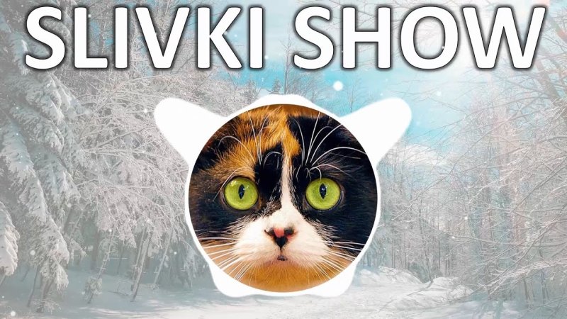 Куки кот сливки шоу