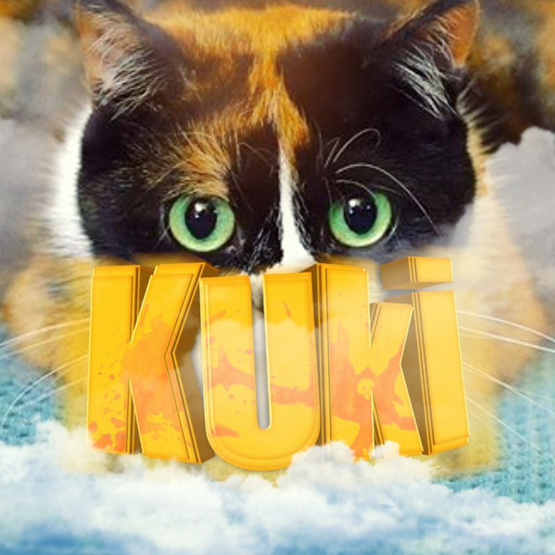 Кот сливки шоу