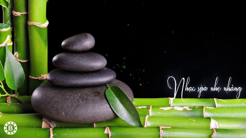 Камни бамбук обои