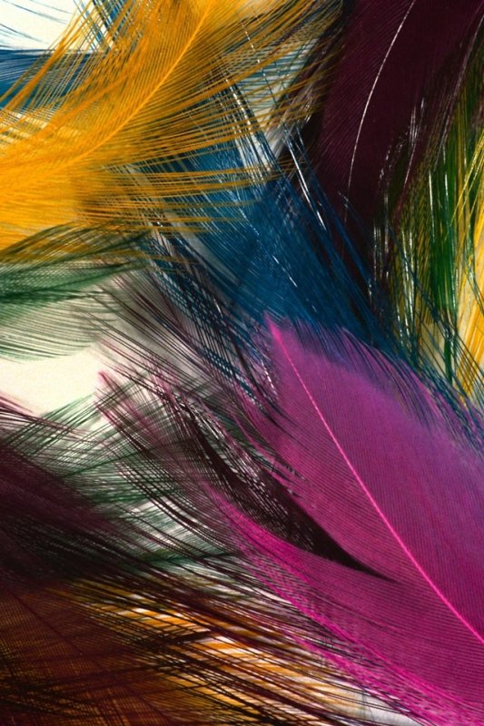 Яркие цвета