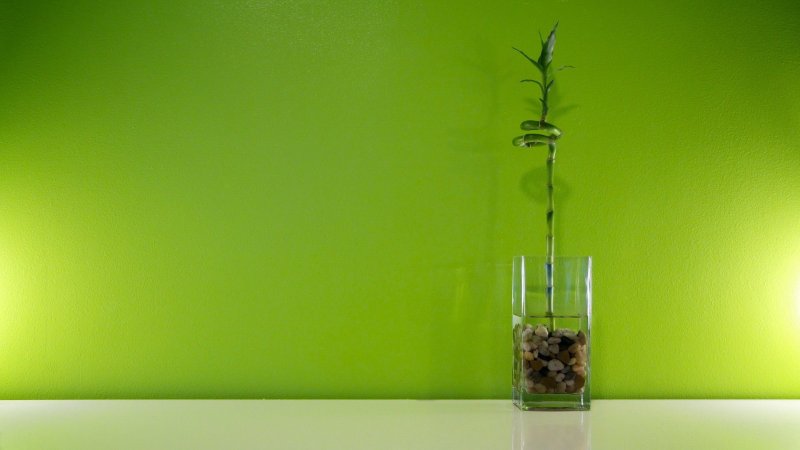 Зеленые обои