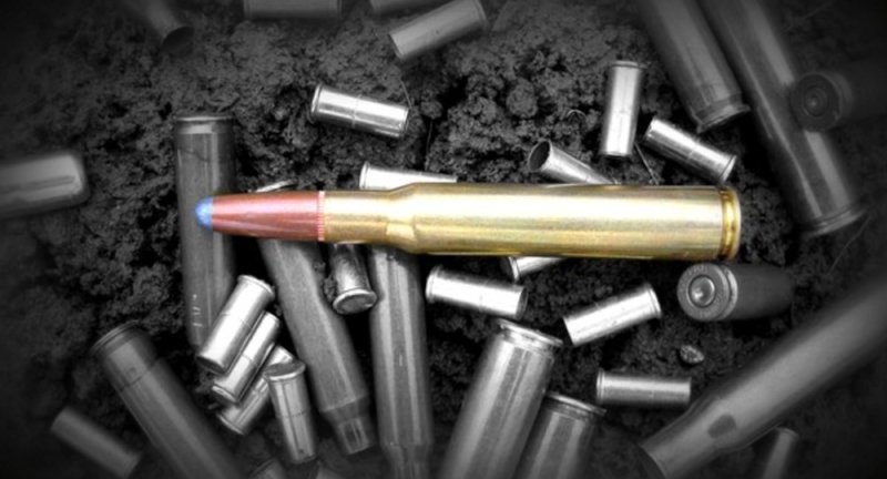 Гильза патрона