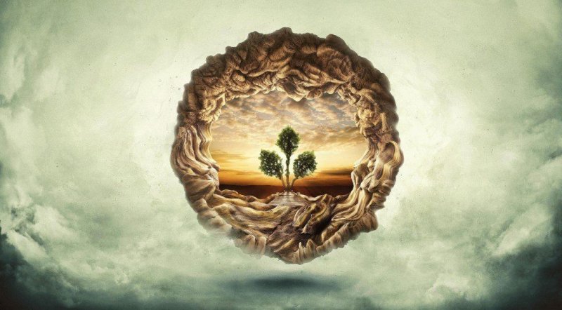 Дерево жизни