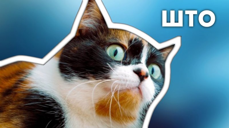 Slivki show аватарка