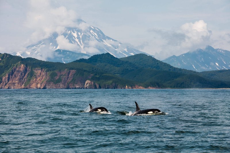 Командорские острова