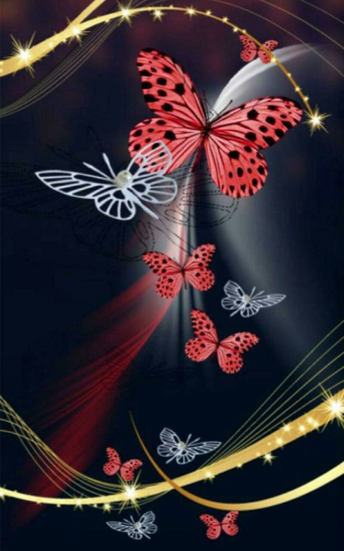 Заставка бабочки