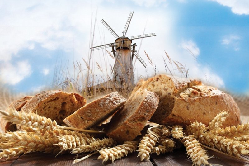 Хлеб в поле