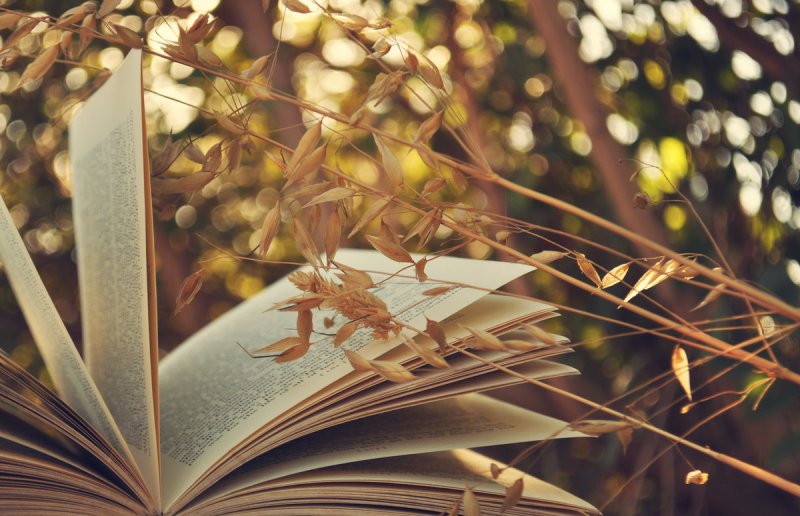 Стол «книга»