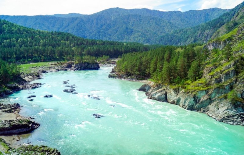 Долина реки Катунь горный Алтай