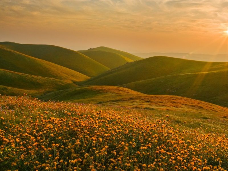 Узбекистан холмы поле