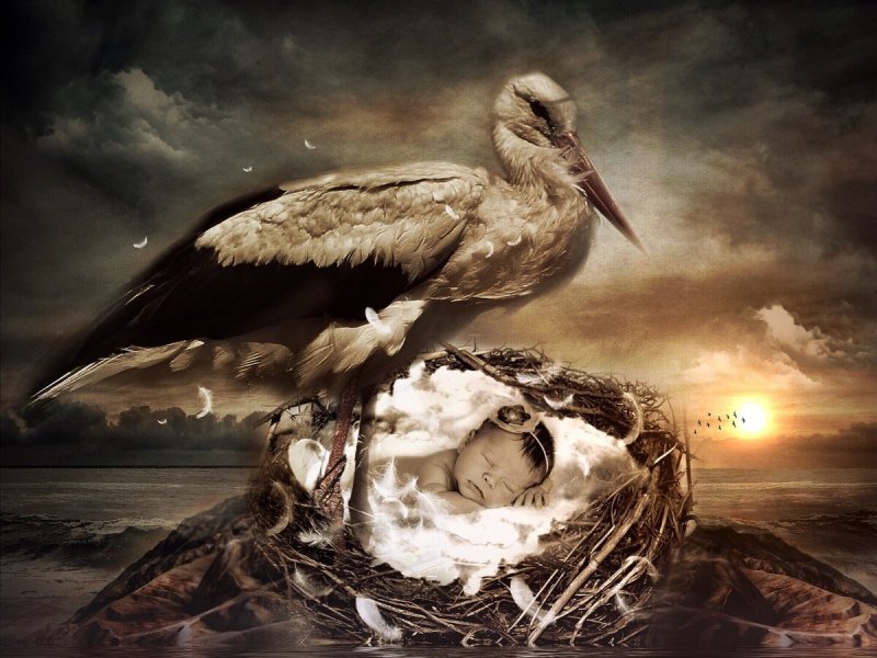 Аист фэнтези