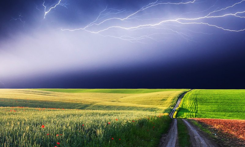 Гроза в поле