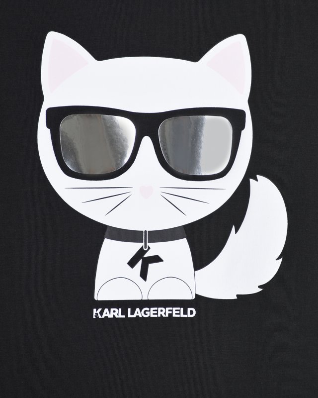 Карл Лагерфельд с котом