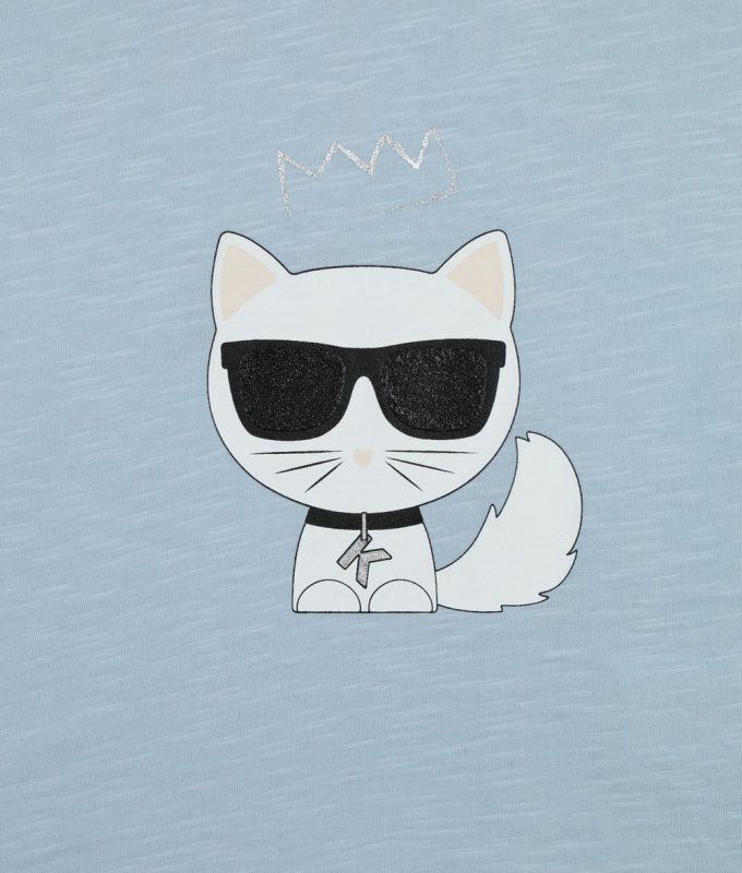 Карл Лагерфельд с котом