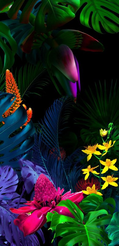 Необычные обои на телефон