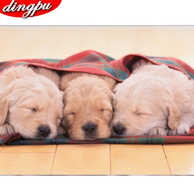 Красивые щенки