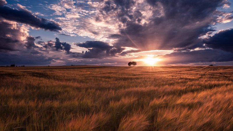 Вечерняя степь