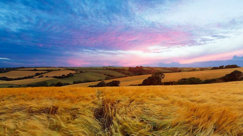 Бескрайние Луга Шотландии