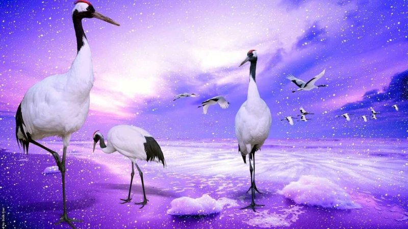 Пейзаж с журавлями