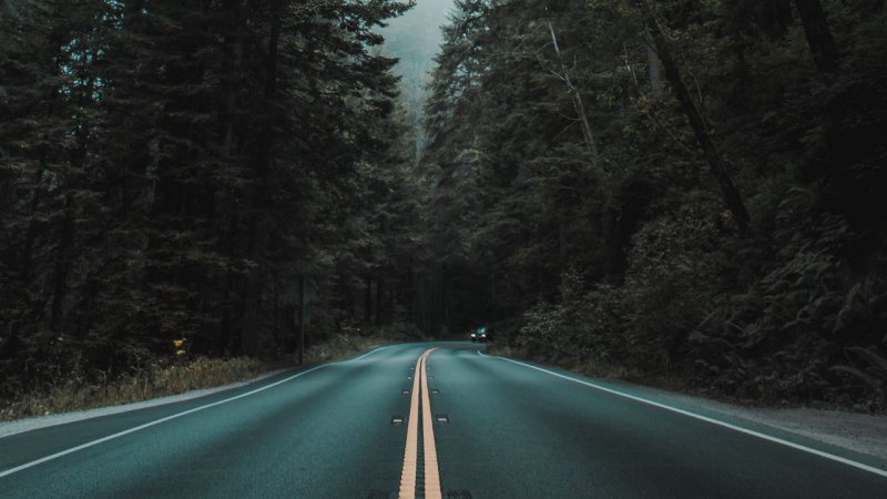 Красивая дорога