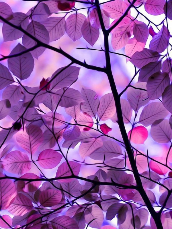 Фон на телефон красивые