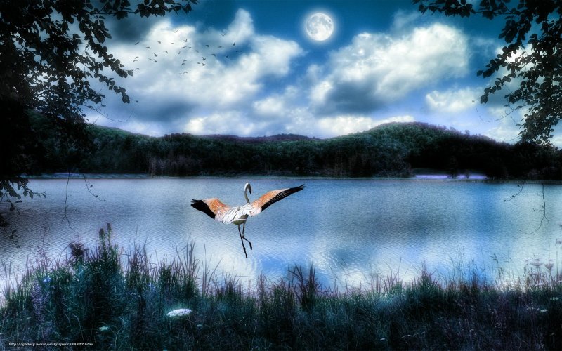 Природа озера с Журавли