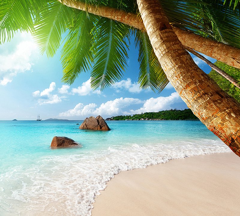 Летний пляж