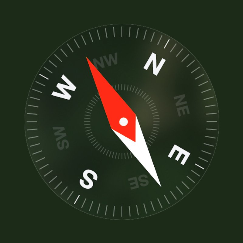 Компас с дисплеем