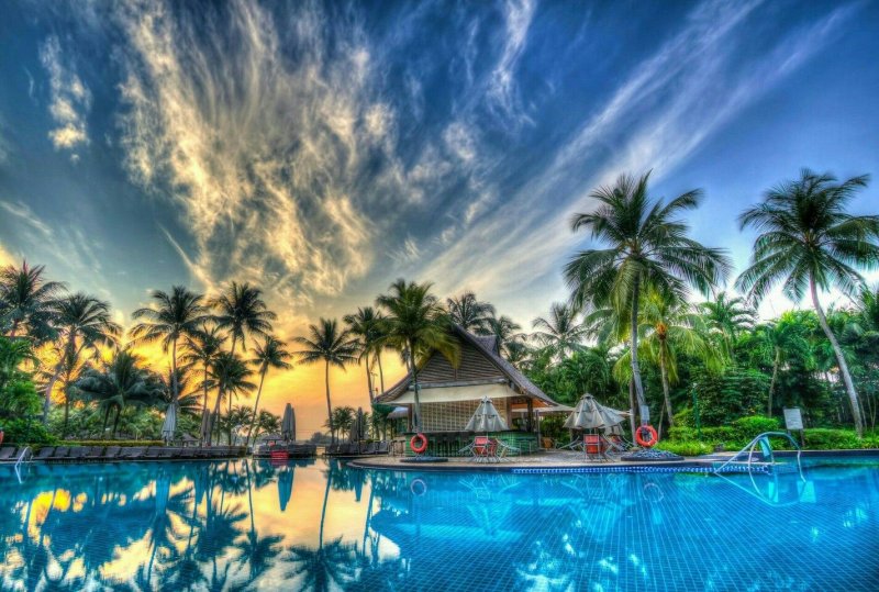 Бали пальмы