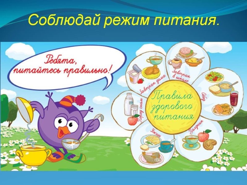 Здоровое питание дошкольников