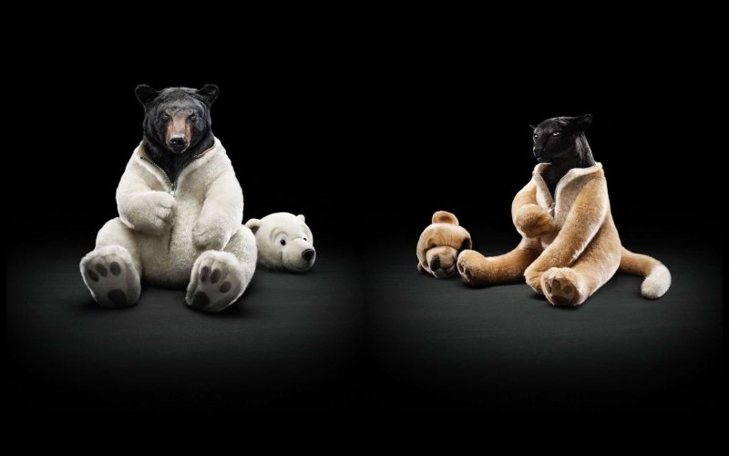 Прикольные картинки на заставку