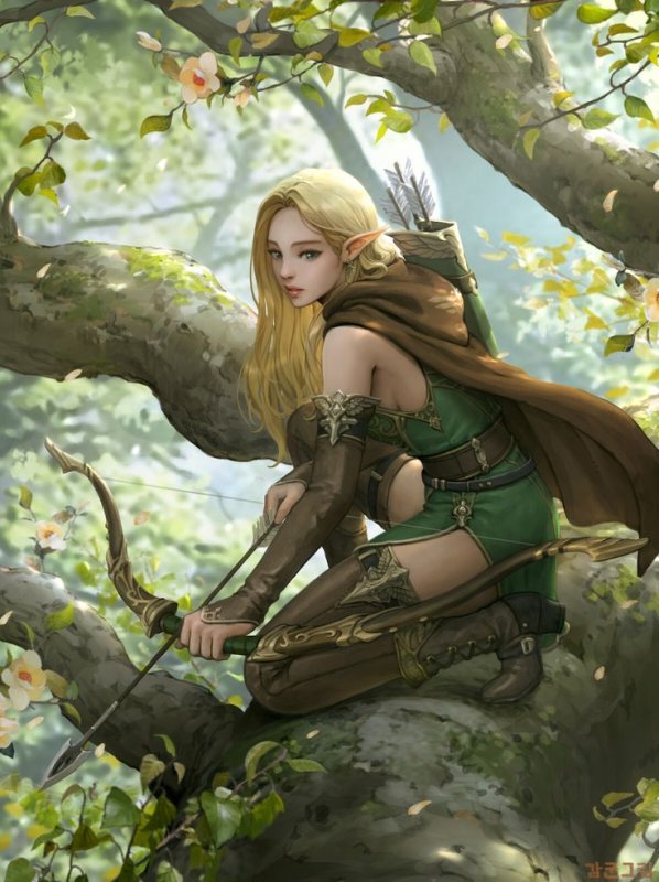 Эльфийка Рин лучница