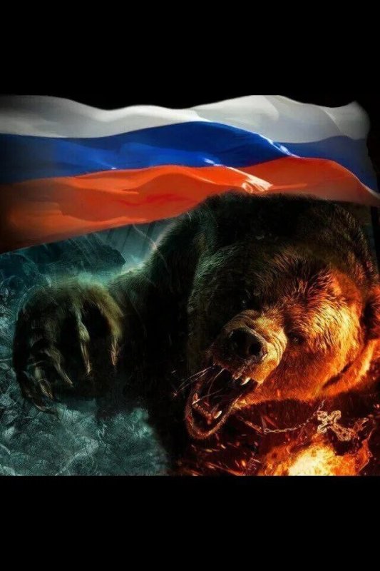 Медведь в ярости