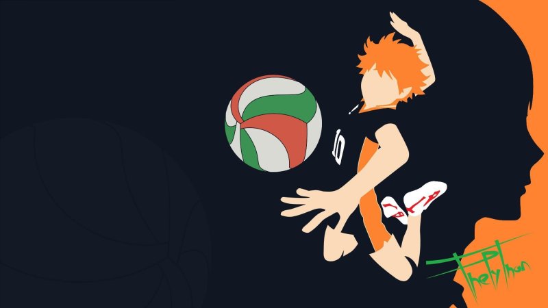Hinata Shoyo Haikyuu