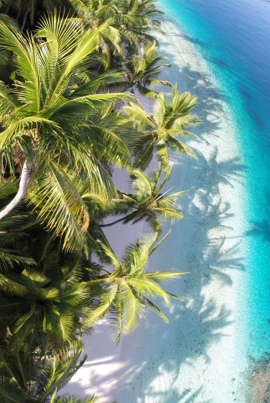 Бали море пальмы