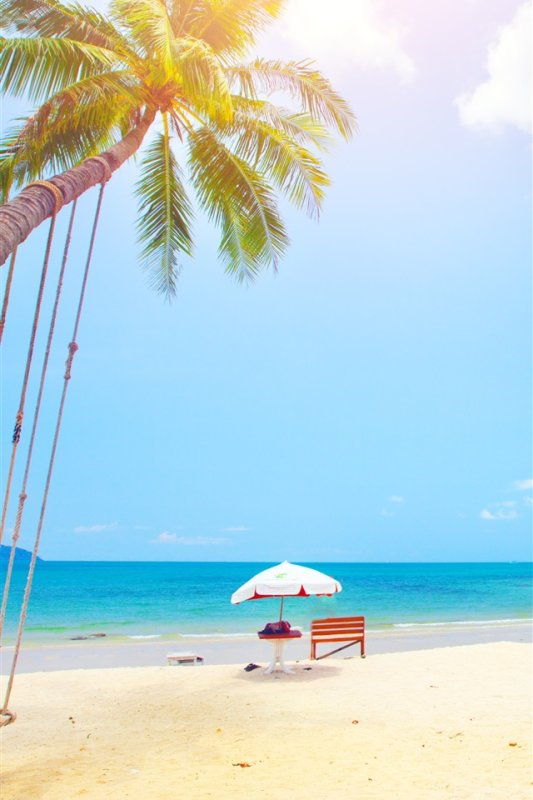 Море пальмы