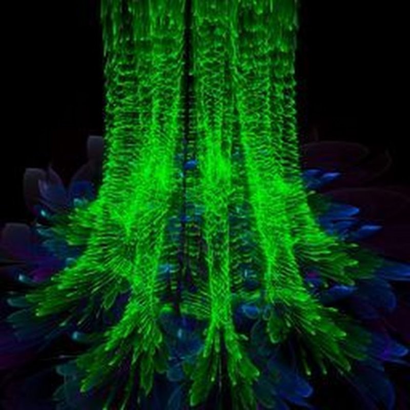 Светящиеся цветы