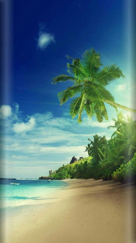 Пляж с пальмами