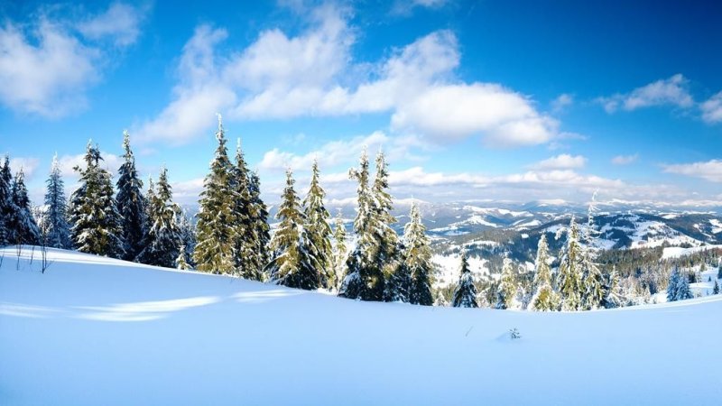 Снежный пейзаж