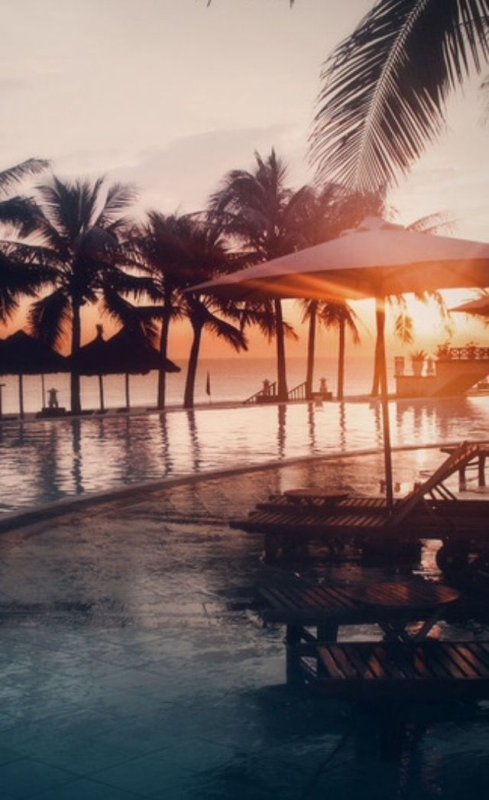 Бассейн пальмы море