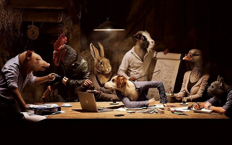 Креативные обои на рабочий стол