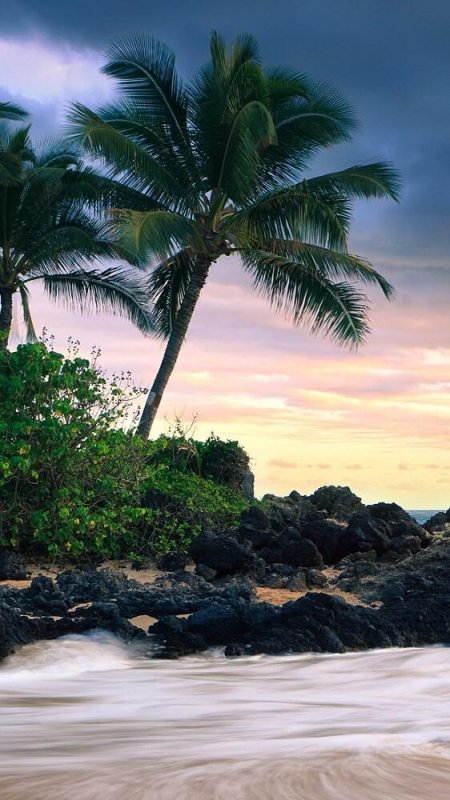 Тропическое море