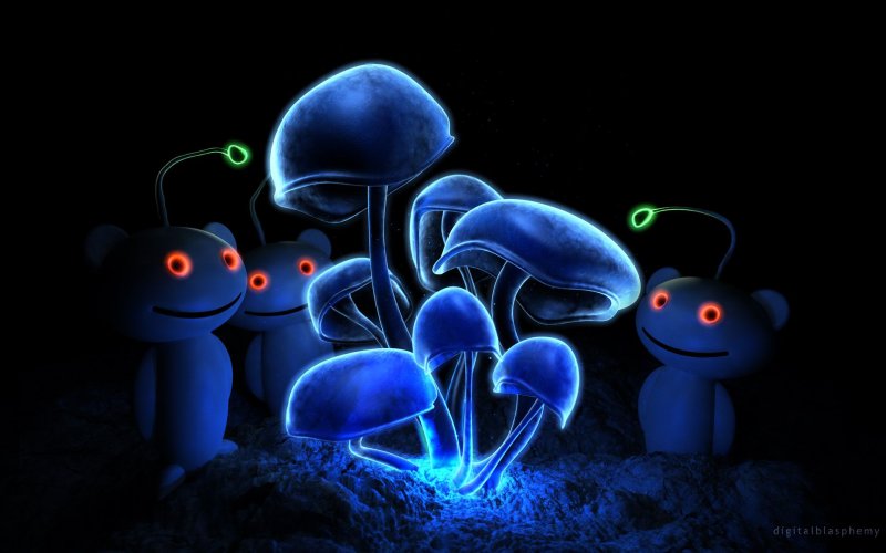 Светящиеся грибы