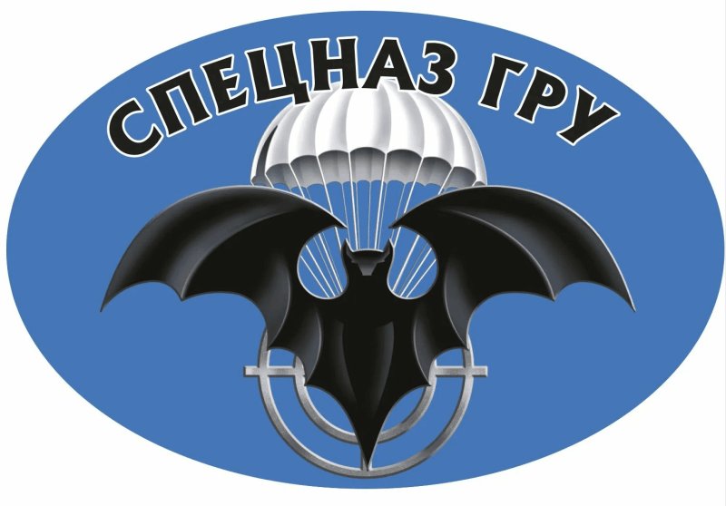 Знак спецназа гру летучая мышь