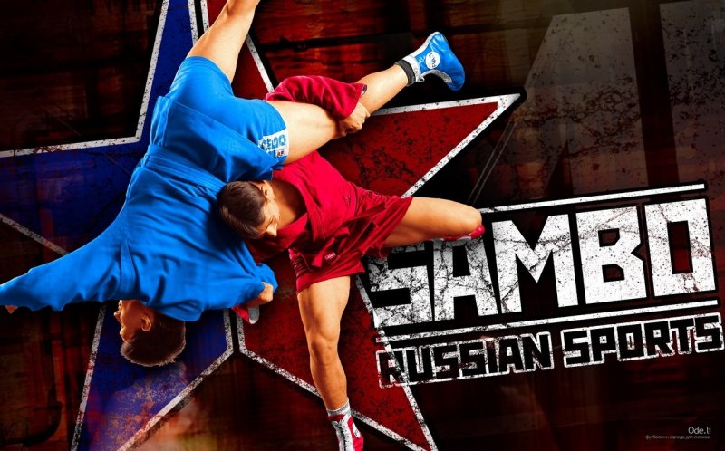 Спортивное самбо