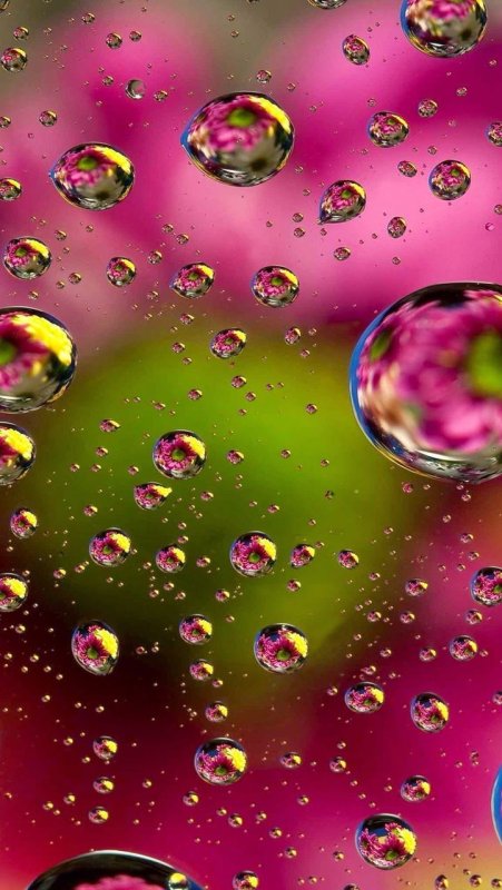 Яркие капли