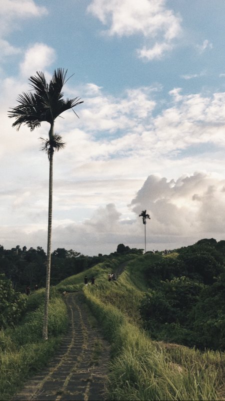 Остров Бали природа